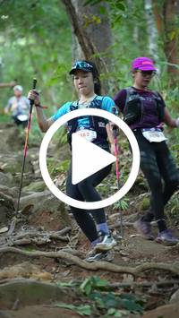 BIB:  <button type="button" onclick="openModal(27646540)" class="btn btn-primary btn-sm float-right" data-toggle="modal" data-target=".modal-high-quality">
                <i class="fa fa-download"></i> Download
                </button>